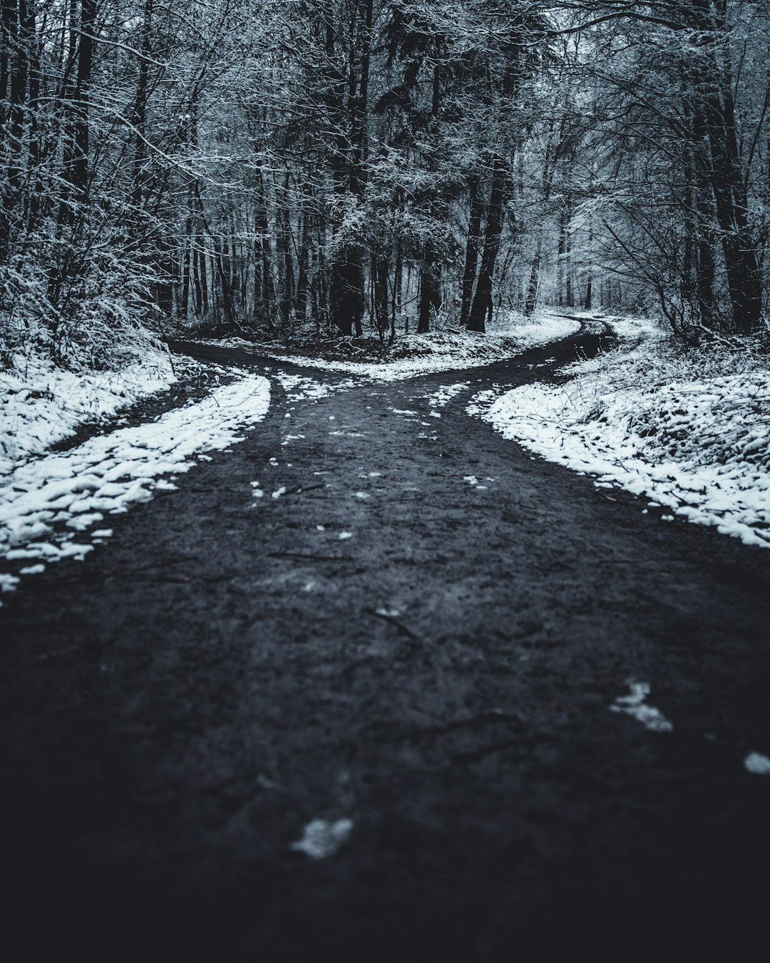 Fork in the road representing the choice between organic growth and an SMM panel