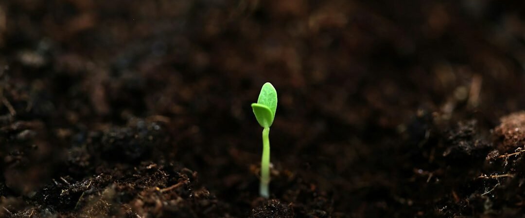 Account Warm-Up Explained: How to Grow a New Social Profile Safely (2026)