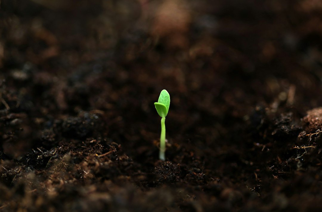 Account Warm-Up Explained: How to Grow a New Social Profile Safely (2026)